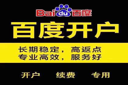 SEM优化策略：打造高效广告投放案例